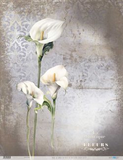 PFY-13073 - Papel Arroz 54x70 cm 25-30 gr. (La Petite Vie En Fleurs Calla Lily V) - pack 6 ud.