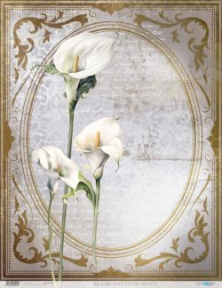 PFY-13074 - Papel Arroz 54x70 cm 25-30 gr. (La Petite Vie En Fleurs Calla Lily VI) - pack 6 ud.