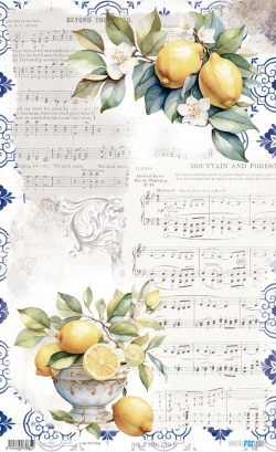 PFY-13765 - Papel Arroz 54x33 cm 25-30 gr. (Lemon VI)- pack 6 ud.