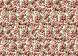 PFY-14106 - Tela Encuadernar Decorada 70x50cm (Fruit´s Market Strawberry III)- pack 6 ud.