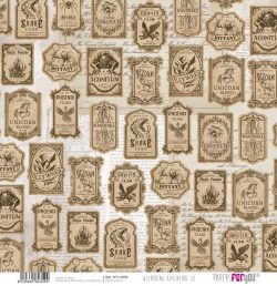 PFY-14359 - Papel Scrap Vellum 90gr (Wizarding Adventure III)- pack 12 ud.