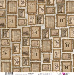 PFY-14362 - Papel Scrap Vellum 90gr (Wizarding Adventure III)- pack 12 ud.