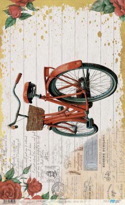 PFY-14285 - Papel Arroz 54x33 cm 25-30 gr. (Vintage bike IV)- pack 6 ud.