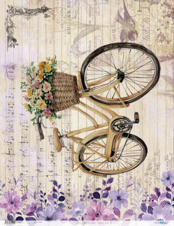 PFY-14295 - Papel Arroz 54x70 cm 25-30 gr. (Vintage bike VI)- pack 6 ud.