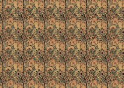 PFY-14566 - Tela Encuadernar Decorada 70x50cm (Abstract Art Poppies)- pack 6 ud.