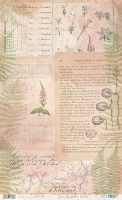 PFY-14588 - Papel Arroz 54x33 cm 25-30 gr. Botanical Book (Pages II)