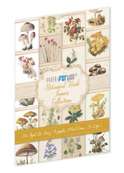 PFY-14611 - Colección de 4 Papeles Arroz 54x33 cm 25-30 gr. (Botanical Book Frames) - pack 4 ud.