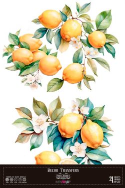 PFY-14833 - Decor Transfers 60x90cm 24"x 35" 4 Hojas  (Lemon)- pack 2 ud.