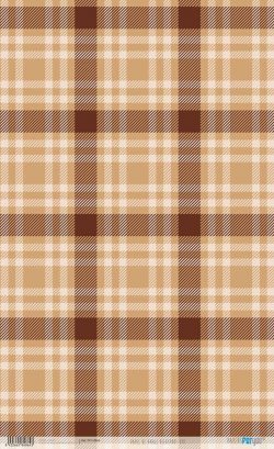 PFY-14864 - Papel Arroz 54x33 cm 25-30 gr. (Highlands VlII) - pack 6 ud.