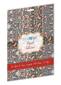 PFY-14902 - Colección de 4 Papeles Arroz 54x33 cm 25-30 gr. (Napoli) - pack 4 ud.