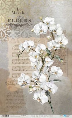 PFY-15084 - Papel Arroz 54x33 cm 25-30 gr. (La Vie En Fleurs White Orchid I) - pack 6 ud.