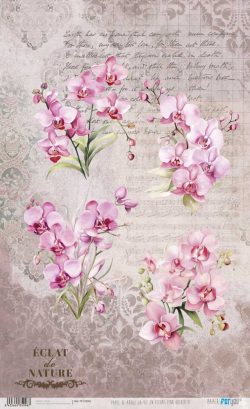 PFY-15096 - Papel Arroz 54x33 cm 25-30 gr. (La Vie En Fleurs Pink Orchid VI) - pack 6 ud.