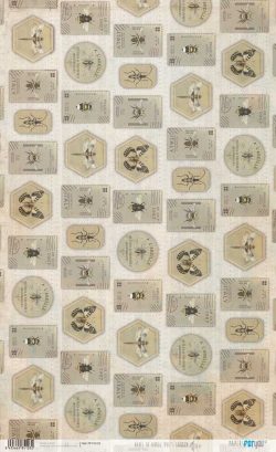 PFY-15103 - Papel Arroz 54x33 cm 25-30 gr. (Bug's Garden VI) - pack 6 ud.