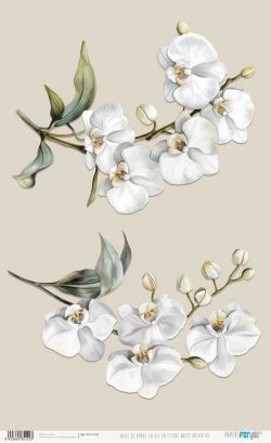 PFY-15122 - Papel Arroz 54x33 cm 25-30 gr. (La Vie En Fleurs White Orchid VII) - pack 6 ud.