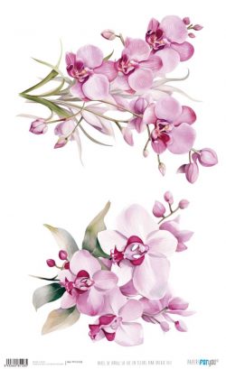 PFY-15128 - Papel Arroz 54x33 cm 25-30 gr. (La Vie En Fleurs Pink Orchid VIII) - pack 6 ud.