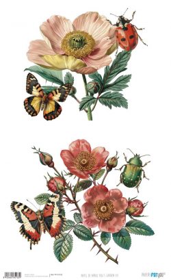 PFY-15133 - Papel Arroz 54x33 cm 25-30 gr. (Bug's Garden VII) - pack 6 ud.