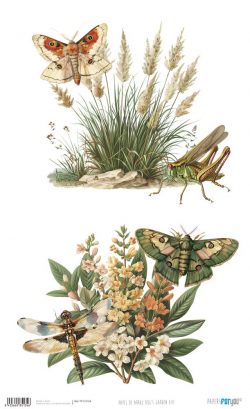 PFY-15134 - Papel Arroz 54x33 cm 25-30 gr. (Bug's Garden VIII) - pack 6 ud.