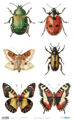 PFY-15135 - Papel Arroz 54x33 cm 25-30 gr. (Bug's Garden IX) - pack 6 ud.