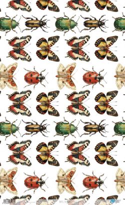 PFY-15136 - Papel Arroz 54x33 cm 25-30 gr. (Bug's Garden X) - pack 6 ud.