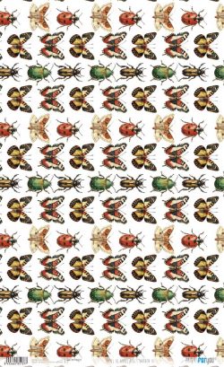 PFY-15137 - Papel Arroz 54x33 cm 25-30 gr. (Bug's Garden Xl) - pack 6 ud.