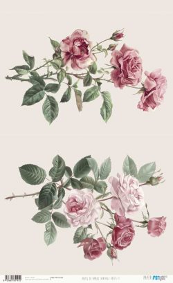PFY-15145 - Papel Arroz 54x33 cm 25-30 gr. (Vintage Roses II) - pack 6 ud.