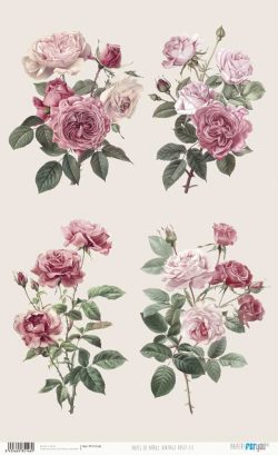PFY-15146 - Papel Arroz 54x33 cm 25-30 gr. (Vintage Roses III) - pack 6 ud.