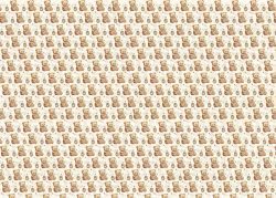 PFY-15221 - Tela Encuadernar Decorada 70x50cm Happy Birthday (Bee Happy) - pack 6 ud.