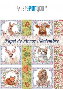 Catálogo Arroz Nov 25 - (5,5 Mb)