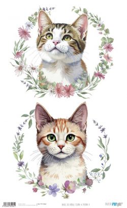 PFY-15564 - Papel Arroz 54x33 cm 25-30 gr. (Flora & Fauna V) - pack 6 ud.