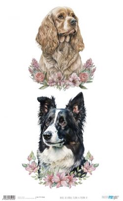 PFY-15565 - Papel Arroz 54x33 cm 25-30 gr. (Flora & Fauna VI) - pack 6 ud.