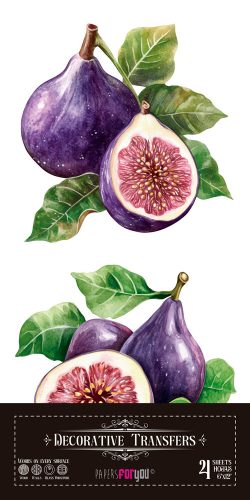 PFY-15717 - Decorative Transfers 15x30 (Figs) - pack 2 ud.