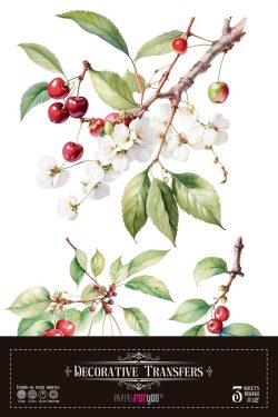 PFY-15728 - Decorative Transfers 20x30 (Cherrys) - pack 2 ud.