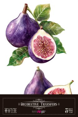 PFY-15733 - Decorative Transfers 20x30 (Figs) - pack 2 ud.