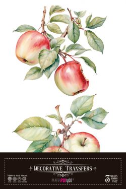 PFY-15735 - Decorative Transfers 20x30 (Red Apples) - pack 2 ud.