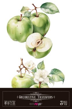 PFY-15736 - Decorative Transfers 20x30 (Green Apples) - pack 2 ud.