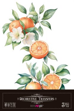 PFY-15738 - Decorative Transfers 20x30 (Oranges) - pack 2 ud.