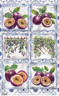 PFY-15753 - Papel Arroz 54x33 cm 25-30 gr. (Maracuyas III) - pack 6 ud.