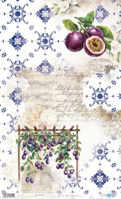 PFY-15754 - Papel Arroz 54x33 cm 25-30 gr. (Maracuyas IV) - pack 6 ud.