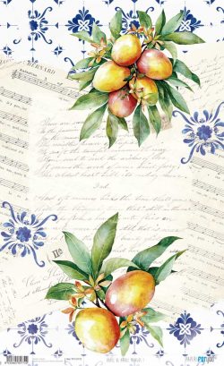 PFY-15772 - Papel Arroz 54x33 cm 25-30 gr. (Mangos I) - pack 6 ud.