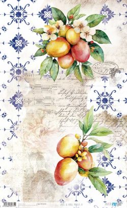 PFY-15775 - Papel Arroz 54x33 cm 25-30 gr. (Mangos IV) - pack 6 ud.