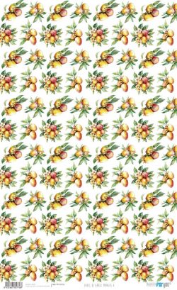 PFY-15776 - Papel Arroz 54x33 cm 25-30 gr. (Mangos V) - pack 6 ud.