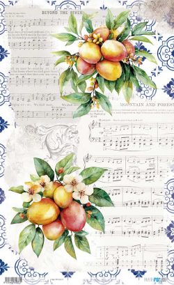 PFY-15777 - Papel Arroz 54x33 cm 25-30 gr. (Mangos VI) - pack 6 ud.