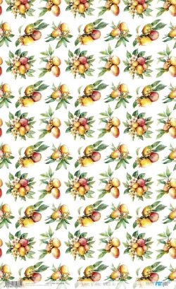 PFY-15778 - Papel Arroz 54x33 cm 25-30 gr. (Mangos VII) - pack 6 ud.