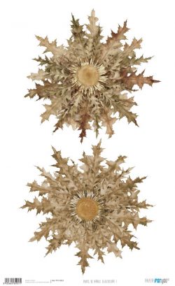 PFY-15957 - Papel Arroz 54x33 cm 25-30 gr. (Eguzkilore I) - pack 6 ud.