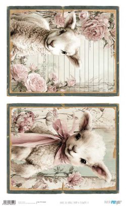 PFY-16042 - Papel Arroz 54x33 cm 25-30 gr. (Farm & Flowers II) - pack 6 ud.