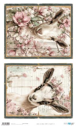 PFY-16043 - Papel Arroz 54x33 cm 25-30 gr. (Farm & Flowers III) - pack 6 ud.