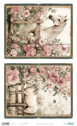 PFY-16044 - Papel Arroz 54x33 cm 25-30 gr. (Farm & Flowers IV) - pack 6 ud.