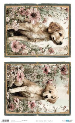 PFY-16045 - Papel Arroz 54x33 cm 25-30 gr. (Farm & Flowers V) - pack 6 ud.