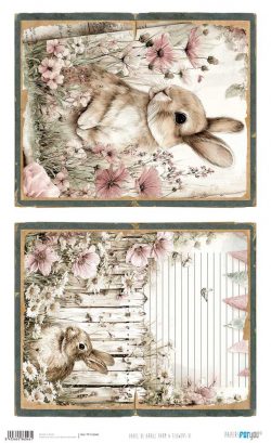 PFY-16046 - Papel Arroz 54x33 cm 25-30 gr. (Farm & Flowers VI) - pack 6 ud.