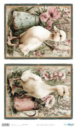 PFY-16047 - Papel Arroz 54x33 cm 25-30 gr. (Farm & Flowers VII) - pack 6 ud.